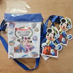 ディズニーリゾートバケーションパッケージ特典ポップコーンバケットチケットホルダー