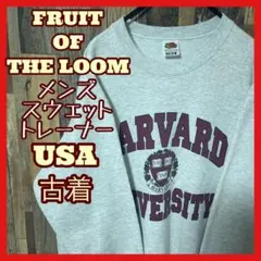 ハーバード カレッジロゴ L フルーツオブザルーム メンズ グレー スウェット