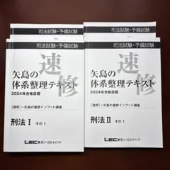 矢島の体系整理テキス【刑法】2024年合格目標