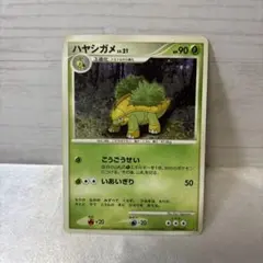 ポケモンカード プロモ ハヤシガメ LV.21 meiji