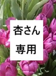 専用　チューリップ画像