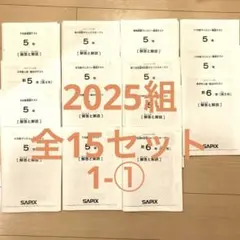 サピックス5年　2023年　1年セット　11回 hq720.jpg?sqp=-