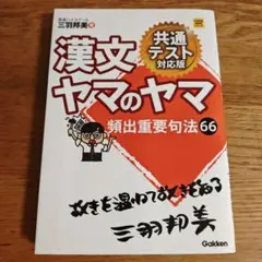 漢文ヤマのヤマ 共通テスト対応版