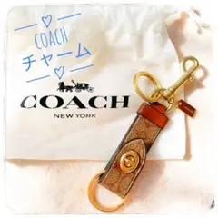 希少✨️COACH Gold Fish Bag Charm Key Ring - メルカリ