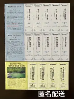 【匿名配送】東武ホテルグループ　優待割引券　宿泊　飲食　各５枚　入浴　4枚