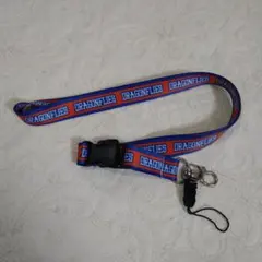 広島ドラゴンフライズ