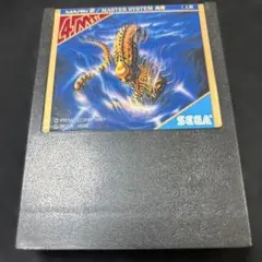 R-TYPE MARK III / MASTER SYSTEM