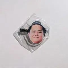 大相撲ガチャフェイスヘアピン（翠富士）