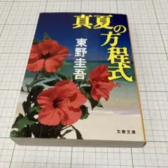 真夏の方程式