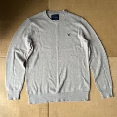 American Eagle クルーネックニット ベージュ Mのサムネイル