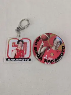 #60 坂本聖芽選手　ガチャ　アクリルキーホルダー　ダイヤモンドドルフィンズ