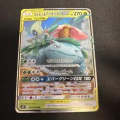セレビィ&フシギバナGX SM9 001/095 RR