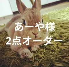 あーや様　2点オーダー専用ページ