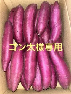 千葉県産紅はるかM 10kg