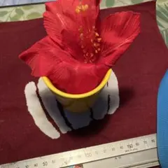No.10【沖縄から♪】ハイビスカス(アイスピンク)♥️24 12×12 No.10【沖縄から♪】ハイビスカス(アイスピンク)♥️24 12×12 - メルカリ