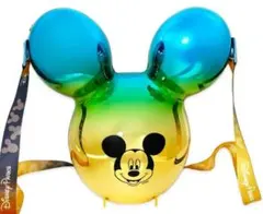 2025年最新】カリフォルニアディズニー ポップコーンバケットの