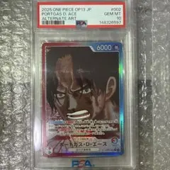 2026年最新】エース リーダーパラレル psa10の人気アイテム - メルカリ