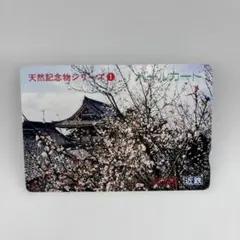 2026年最新】パールカード 近鉄の人気アイテム - メルカリ