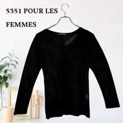 zB704【F】5351 POUR LES FEMMES シアー 透け感 長袖