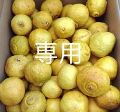 Hana様専用ページです。