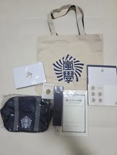 嵐　ワクワク学校　グッズ