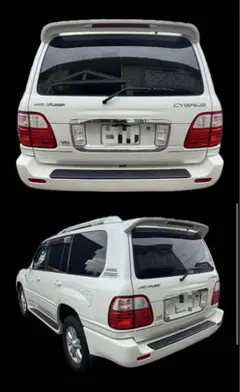 tatsuhige様専用 100 バグガード ランドクルーザー デフレクター