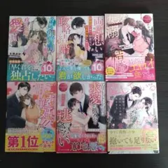 ベリーズ文庫、エタニティ文庫など6冊まとめ売り　　TL文庫　2023〜24年