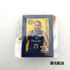 宇都宮ブレックス　2025-26選手ミニチュアアートイーゼルD.Jニュービル選手