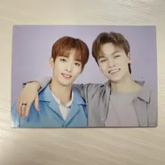 SEVENTEEN ドームトレカ ドギョム バーノン 116