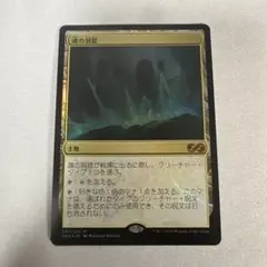 2025年最新】魂の洞窟の人気アイテム - メルカリ