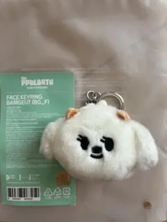 ののちゃさん専用◎TXT PPULBATU