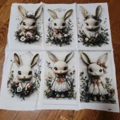 2026年最新】パネル生地 うさぎの人気アイテム - メルカリ