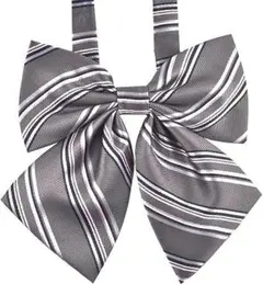 Item thumbnail for item 36bce4a6-70c4-45e0-9570-a83dfe4a0aa9