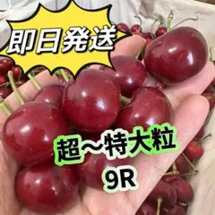 数量限定超特大9R‼️ダークチェリーアメリカンチェリーのサムネイル