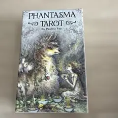美品★PHANTASMA タロットカード 英語解説書つき