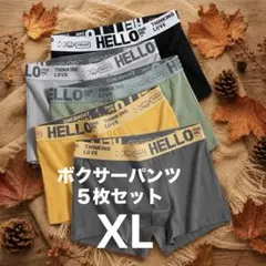 メンズ ボクサーパンツ 5枚セット メッシュ 通気性 前閉じ 吸汗速乾　XL