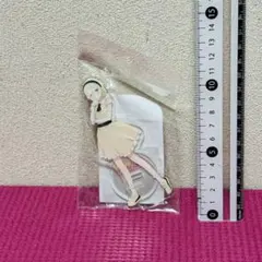 ラブライブ 虹ヶ咲学園 ミアテイラー ニジガクレトロ アクリルスタンド w