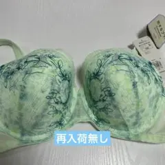 トリンプ恋するブラSummer着け心地楽ちん❣️ D80