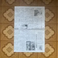 char 新聞記事欄