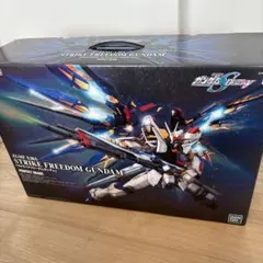 2026年最新】PG 1/60 ZGMF-X20A ストライクフリーダムガンダム の人気