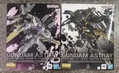 MG ガンダムアストレイ 海外限定クロスコントラストカラーズ 2点セット