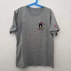 エレメント element ティシャツ 140