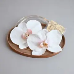 【新品】胡蝶蘭と水引と金箔　髪飾り 白 卒業式 結婚式 和装 ヘッドドレス　袴