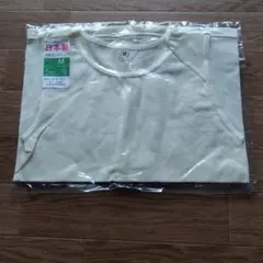 Item thumbnail for item f2381356-29a5-4c6e-824a-18bb03e33a69