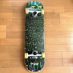 ⭐️スケートボード GX1000 JEFF CARLYLE コンプリートデッキ