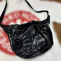 THE NORTH FACE パーテックス キャニスター M ショルダーポーチ