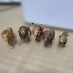 アニア　ライオン　まとめ売り