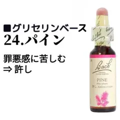 24.パイン（10ml）ノンアルコールフラワーエッセンス Nelson社のサムネイル