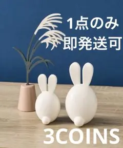 【即購入可】3coins うさぎ&すすきのセット