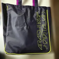 Item thumbnail for item 8da5925f-a19d-487f-9ded-5ff5fceece31